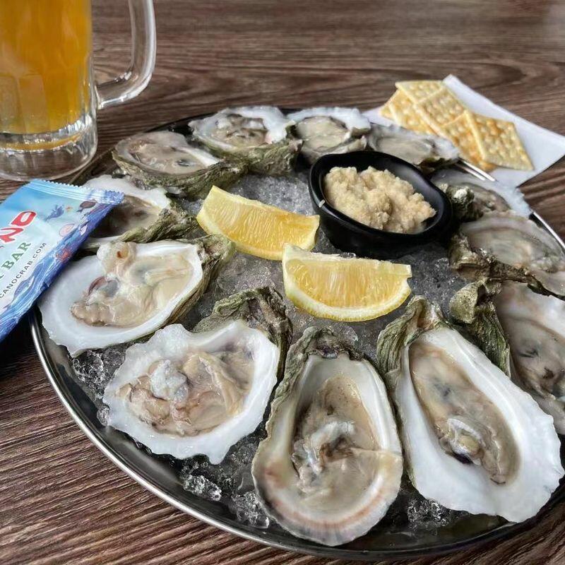 Raw Oysters